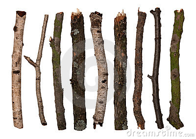sticks-and-twigs-thumb16402930